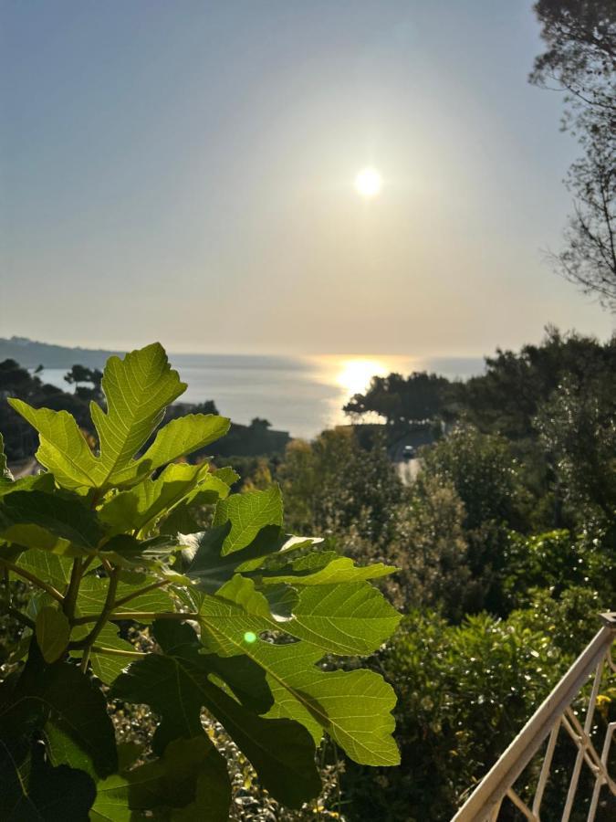 Limonaia In Salento Villa Маритима Екстериор снимка