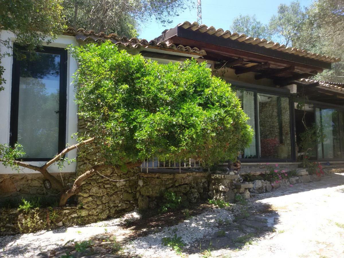 Limonaia In Salento Villa Маритима Екстериор снимка